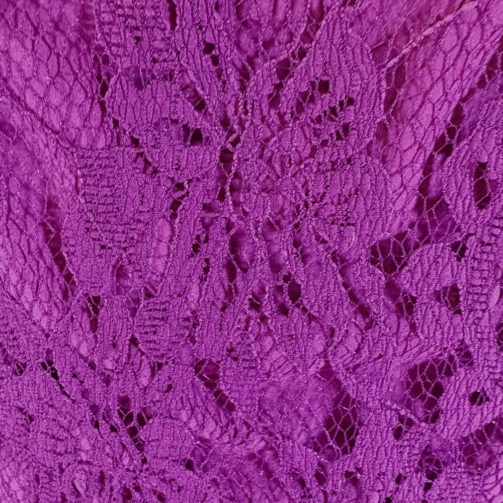 NWT Brixon Ivy Lace Dress - Picture 8 of 9